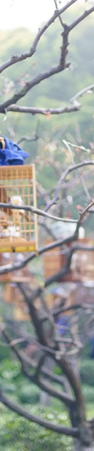 Verbessere dein Chinesisch in einer Gastfamilie